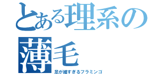 とある理系の薄毛（足が細すぎるフラミンゴ）