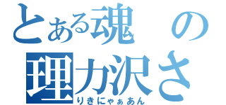 とある魂の理力沢さん（りきにゃぁあん）