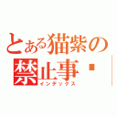 とある猫紫の禁止事项（インデックス）