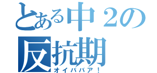 とある中２の反抗期（オイババア！）