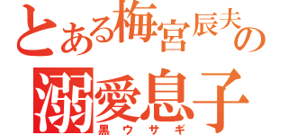 とある梅宮辰夫の溺愛息子（黒ウサギ）