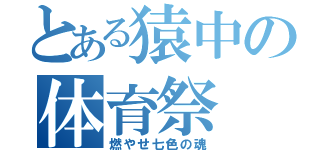 とある猿中の体育祭（燃やせ七色の魂）