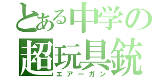 とある中学の超玩具銃（エアーガン）