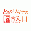 とあるワギナの膣内入口（ＴＨＥ ポルチオ）