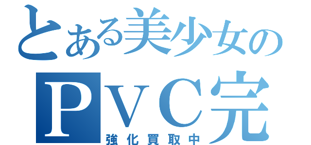 とある美少女のＰＶＣ完成品（強化買取中）