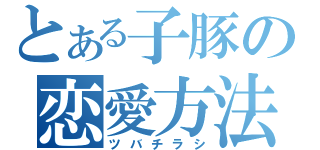 とある子豚の恋愛方法（ツバチラシ）