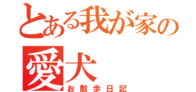 とある我が家の愛犬（お散歩日記）