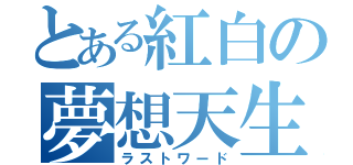 とある紅白の夢想天生（ラストワード）