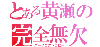 とある黄瀬の完全無欠の模倣（パーフェクトコピー）