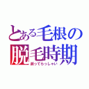 とある毛根の脱毛時期（逝ってらっしゃい）