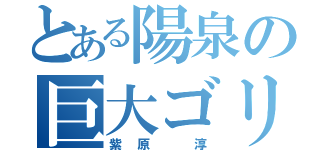 とある陽泉の巨大ゴリア（紫原 淳）