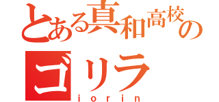 とある真和高校のゴリラ（ｉｏｒｉｎ）