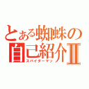 とある蜘蛛の自己紹介Ⅱ（スパイダーマッ）