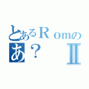 とあるＲｏｍのあ？Ⅱ（）