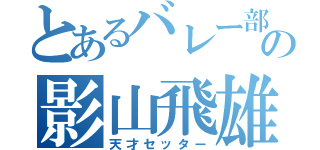 とあるバレー部の影山飛雄（天才セッター）