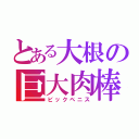 とある大根の巨大肉棒（ビックペニス）