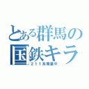 とある群馬の国鉄キラー（２１１系増量中）