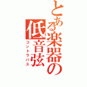 とある楽器の低音弦（コントラバス）