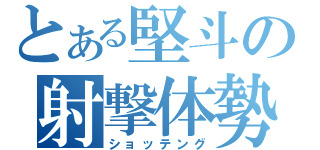 とある堅斗の射撃体勢（ショッテング）