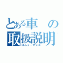 とある車の取扱説明書（ぱふぇーマンス）