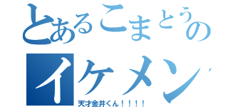 とあるこまとうののイケメンモテモテ（天才金井くん！！！！）