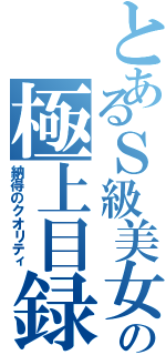 とあるＳ級美女の極上目録（納得のクオリティ）