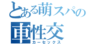 とある萌スパの車性交（カーセックス）