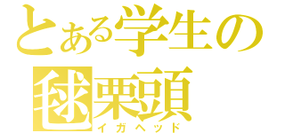 とある学生の毬栗頭（イガヘッド）