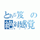 とある笈の絶対感覚（センス）