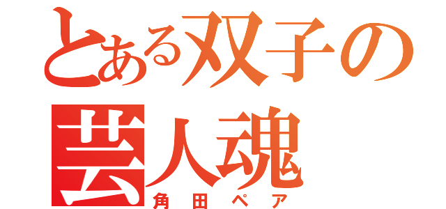 とある双子の芸人魂（角田ペア）