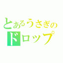 とあるうさぎのドロップ（）