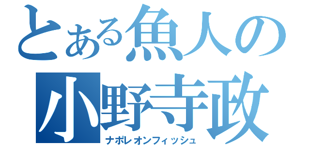 とある魚人の小野寺政則（ナポレオンフィッシュ）