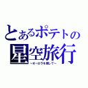 とあるポテトの星空旅行（～オーロラを探して～）