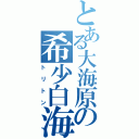 とある大海原の希少白海豚（トリトン）