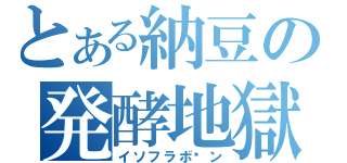 とある納豆の発酵地獄（イソフラボ〜ン）