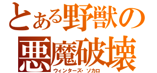 とある野獣の悪魔破壊（ウィンターズ・ソカロ）