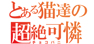 とある猫達の超絶可憐（チョコバニ）