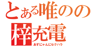 とある唯のの梓充電（あずにゃんにセクハラ）