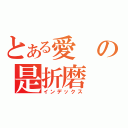 とある愛の是折磨（インデックス）