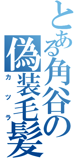 とある角谷の偽装毛髪（カツラ）