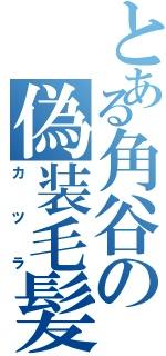 とある角谷の偽装毛髪（カツラ）