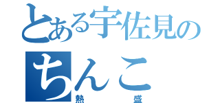 とある宇佐見のちんこ（熱盛）