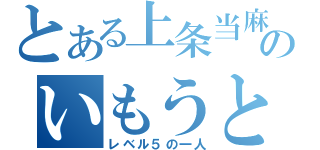 とある上条当麻のいもうと（レベル５の一人）