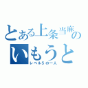 とある上条当麻のいもうと（レベル５の一人）