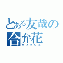 とある友哉の合弁花（サイエンス）