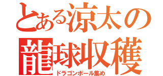 とある涼太の龍球収穫（ドラゴンボール集め）