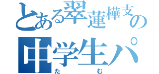 とある翠蓮樺支部の中学生パズドラー（たむ）