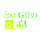 とあるＧＨの☆國凱（インデックス）