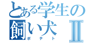 とある学生の飼い犬Ⅱ（ポテト）