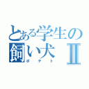 とある学生の飼い犬Ⅱ（ポテト）